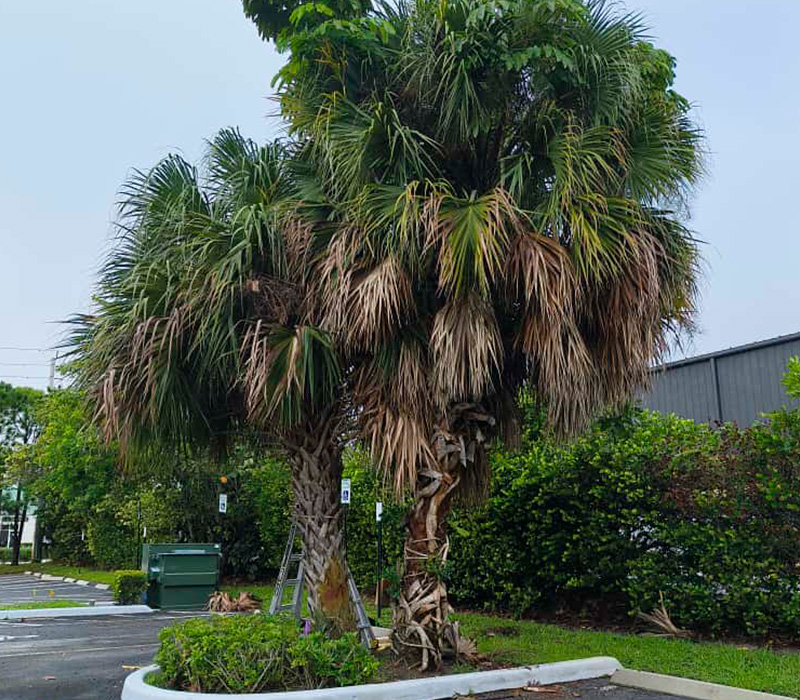 Towing services in Hesperia