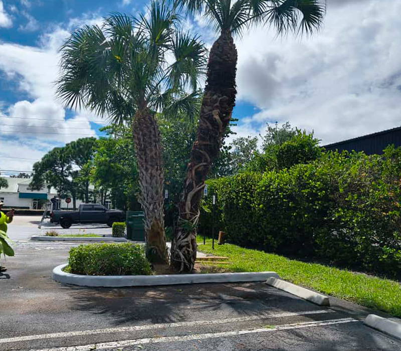 Towing services in Hesperia